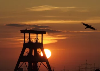 Prezes PGE udzielił szczerego wywiadu, w którym przyznał, że koniec węgla w Polsce zbliża się nieuchronnie, teraz nastał czas na wiatraki.