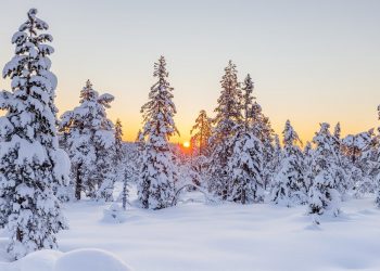 Rekord zimna padł w Polsce tej nocy, IMGW podał temperatury jakie panowały w różnych regionach Polski, najniższa wyniosła minus 31 stopni