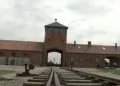 Muzeum ofiar nazistów w Auschwitz poinformowało, że odkryło niesamowite znalezisko w bucikach dzieci ofiar, pokazali to w serwisie Facebook.