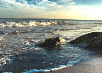 Naukowcy ostrzegają, że Ocean Atlantycki jest najcieplejszy od 3000 lat, należy przygotować się na burze i wymieranie gatunków.