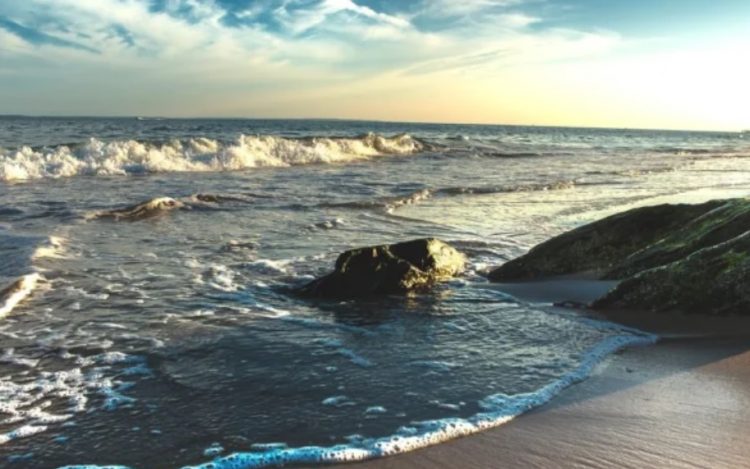 Naukowcy ostrzegają, że Ocean Atlantycki jest najcieplejszy od 3000 lat, należy przygotować się na burze i wymieranie gatunków.