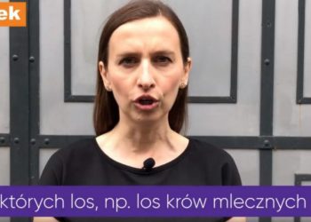 Sylwia Spurek znana jest przede wszystkim z tego, że jest zagorzałą feministką i skrajną weganką, jej ostatni wpis na Twitterze zszokował