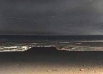 Co widzisz na zdjęciu? Jak odkryjesz prawdę, doznasz szoku