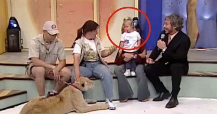 Przerażające! Lew rzucił się na dziecko w programie na żywo. Wszyscy zamarli