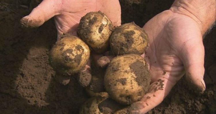 Zszedł do piwnicy po ziemniaki i nie wracał. Poszła po niego żona i też nie wróciła. Zmarli przez błąd który popełniamy wszyscy