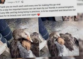 To zdjęcie zszokowało i chwyciło za serce wszystkich! Setki tysięcy udostępnień [FOTO]