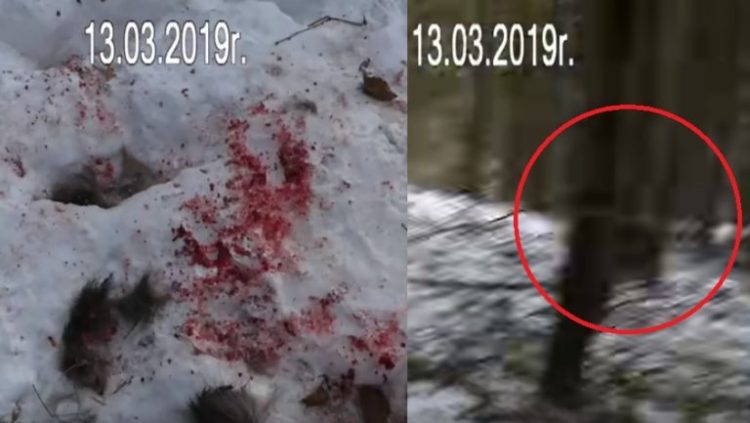 Przerażające nagranie! Nikt by mu nie uwierzył, gdyby nie ten film. Mrozi krew w żyłach (wideo)