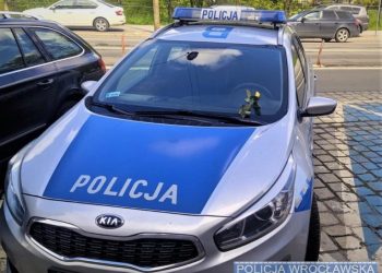 Nieznany sprawca zostawił coś za wycieraczka radiowozu (zdjęcia)