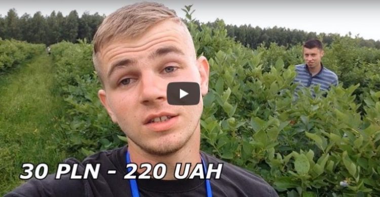 Ukraińcy mówią o „Polskich obozach pracy”. To pokazali na swoich filmach na YouTube…