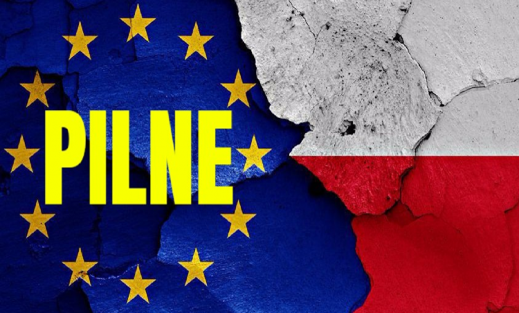 Obrzydliwe kłamstwo Niemców. Polacy opluci na oczach całego świata