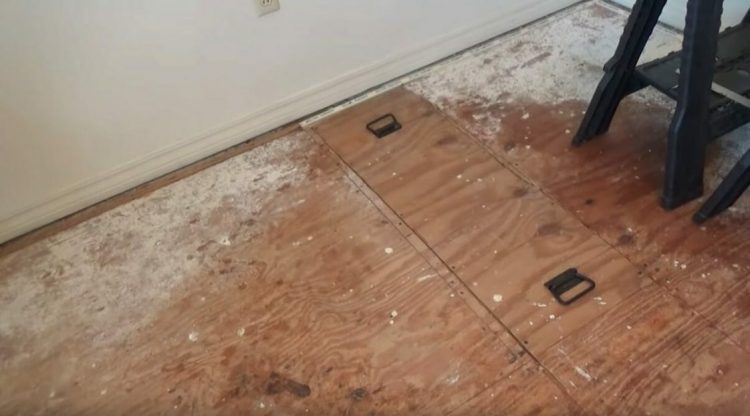 Spod jej łóżka dochodziły dziwne i przerażające odgłosy. Gdy zajrzeli pod podłogę, wszystkich zmroziło (wideo)