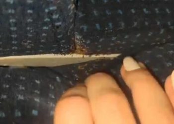 Obrzydliwy incydent w PKP. Pasażerka zamarła, gdy odkryła, co jest pod jej siedzeniem