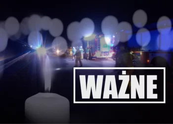 Znana restauratorka zginęła w tajemniczym wypadku na S8. Policja prosi o pomoc