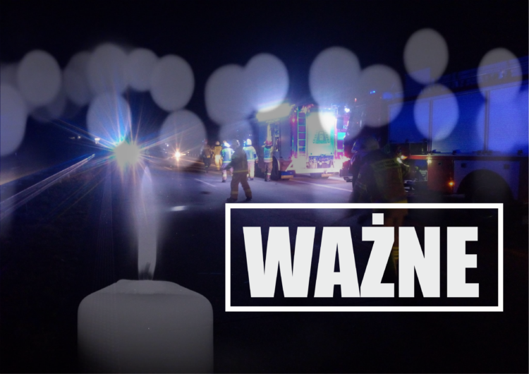 Znana restauratorka zginęła w tajemniczym wypadku na S8. Policja prosi o pomoc