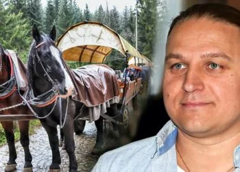 Ostatnio głos w sprawie zabrali Paweł Golec, Edyta Golec, Sebastian Karpiel-Bułecka, jednak to zdanie Pawła zszokowało wszystkich