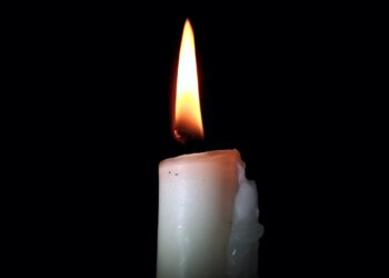 Tamayo Perry, aktor znany m.in. z roli w czwartej części serii "Piraci z Karaibów: Na nieznanych wodach", zmarł w wyniku obrażeń odniesionych po ataku rekina.