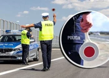 Wozisz to w samochodzie? Policjant zabierze ci dowód rejestracyjny