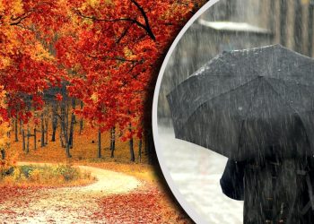Synoptycy z Instytutu Meteorologii i Gospodarki Wodnej (IMGW) przewidują opady deszczu, burze oraz niskie temperatury,