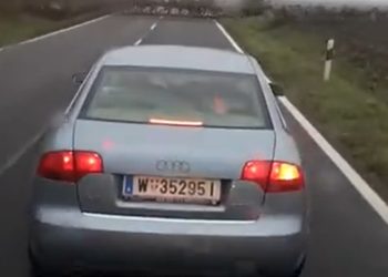Nagranie z Węgier, na którym gigantyczne stado jeleni przebiega przez drogę tuż przed maską samochodu, zaskoczyło i poruszyło internautów.