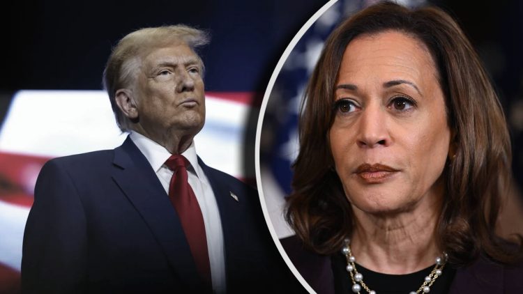 Wybory prezydenckie w USA 2024 - Donald Trump vs. Tamara Harris. W piątek amerykańskie agencje wywiadowcze wydały wspólne oświadczenie.