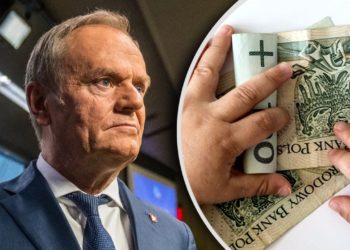 W 2024 roku ponad 508 tys. dzieci cudzoziemskich otrzymało świadczenie wychowawcze 800 plus. Liczba jest o 70 tys. niższa niż w roku ubiegłym